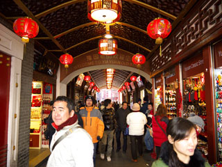 P1000404.jpg